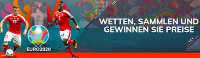 Bahigo EM 2021 Schweiz Aufgaben