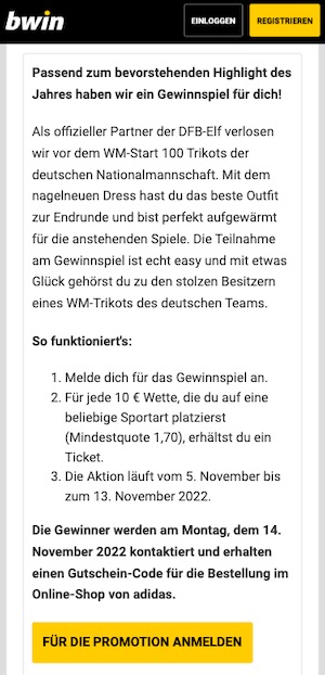 Bedingungen zum DFB WM Trikot Gewinnspiel