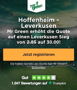 mr. green boost hoffenheim - leverkusen, 29.03.19